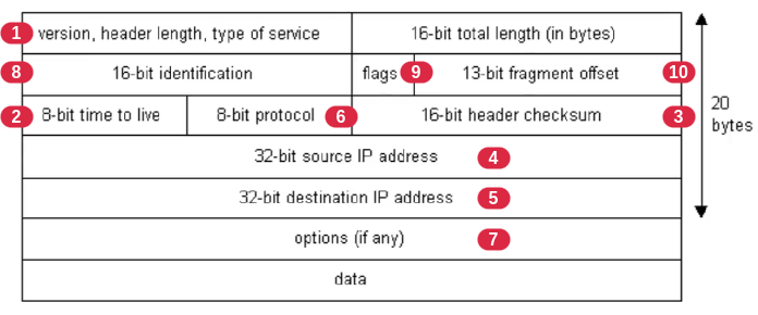 ip-protocol-header