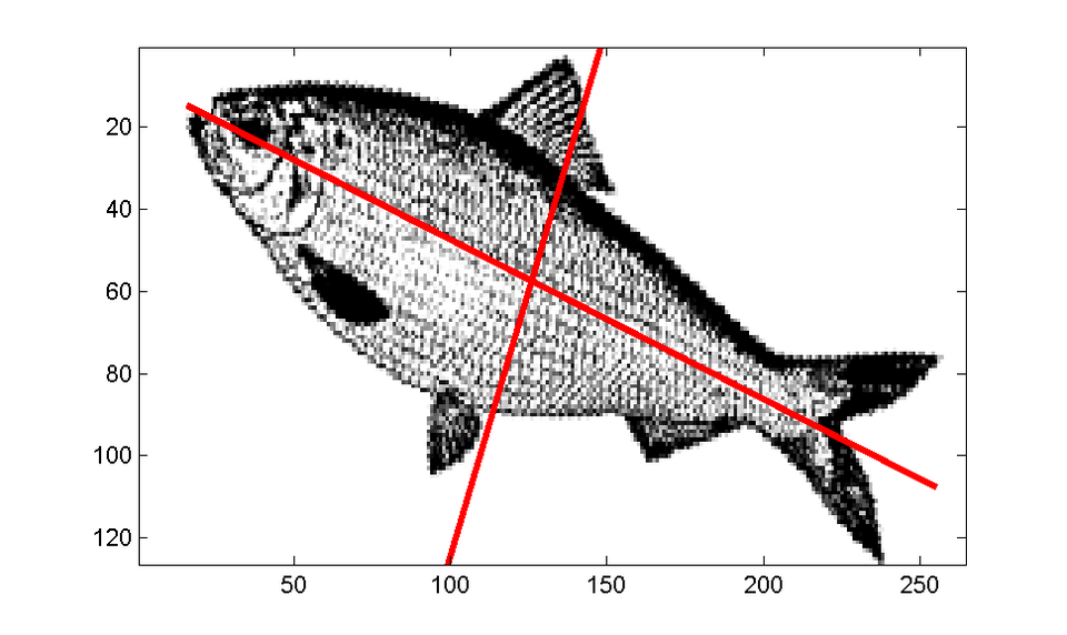 Illustration de PCA : projection sur axes principaux